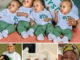 Congratulations in the air as NYSC Lady gives birth to a Quadruplet Twins at the Training Camp (Photos) . let’s Celebrate her today